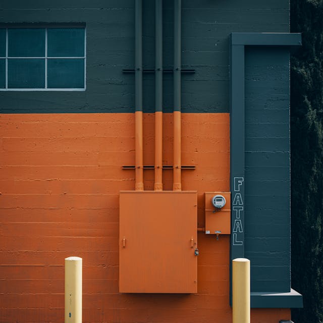 pexels-photo-33624509