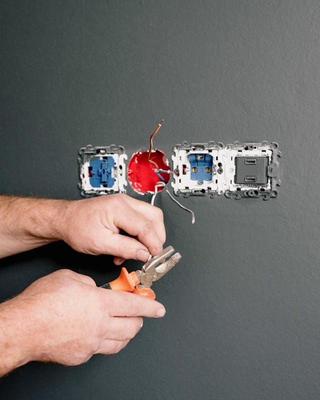 pexels-photo-5691590-1